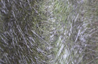 Knockenkelly fibreglass roof work